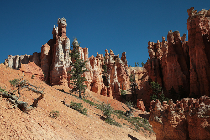 Bryce Canyon : Utah : Landscape Photos : Richard Moore : Photographer